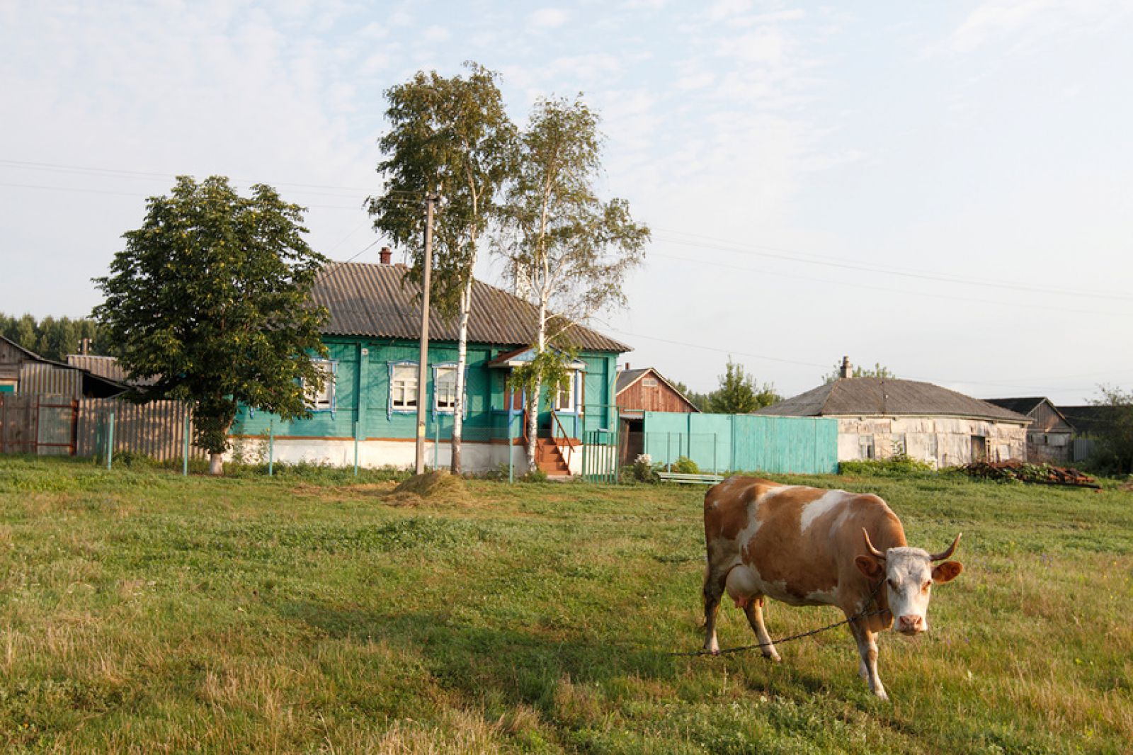 На фото: Деревня Красный Лог в Воронежской области