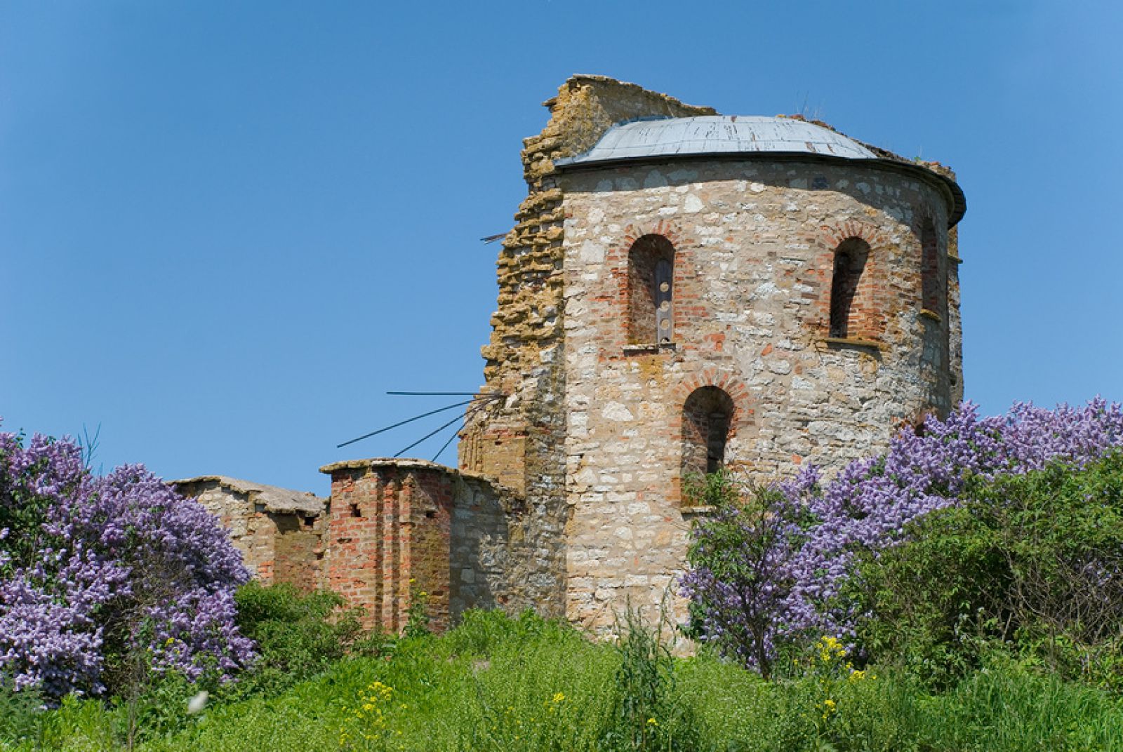 На фото: Руины церкви Благовещения на Городище близ Новгорода